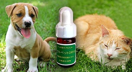 犬・猫の健康のためのサプリメント